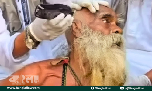 ময়মনসিংহে অমানবিকতা, সাধুর ওপর নির্যাতন