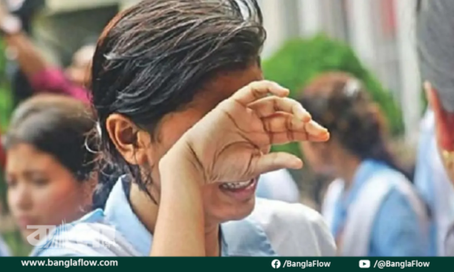 এবার অকৃতকার্য ৫ লাখের বেশি শিক্ষার্থী
