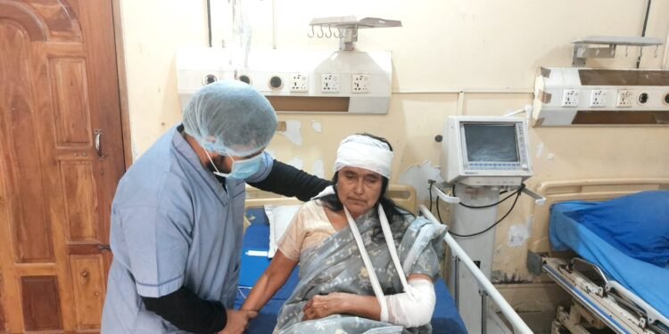 গৌরী রানী দাস পরিবারের বাড়ি লক্ষ্য করে হামলা