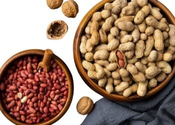 ওজন কমানো থেকে ত্বকের যত্ন: শীতে এক মুঠো বাদামের জাদুকরী উপকারিতা