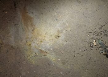 এবার দুদকের সামনে ককটেল বিস্ফোরণ