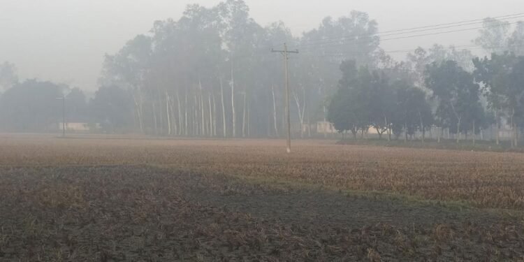 পঞ্চগড়ে টানা ৫ দিন তাপমাত্রা ১৩ ডিগ্রির ঘরে, বাড়ছে শীতের দাপট