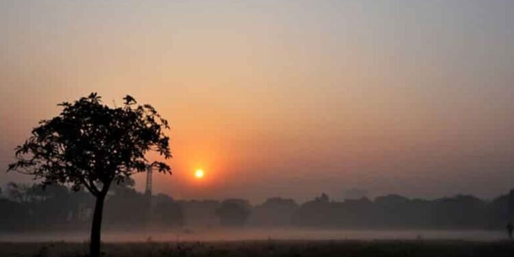 No-chance-of-cold-wave-in-November-month-will-pass-with-temperature-fluctuations