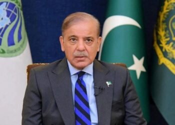 এরদোয়ান-পুতিন আলোচনায় মগ্ন, পাশের কক্ষে শেহবাজের দীর্ঘ প্রহর গুণতে হলো