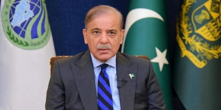 এরদোয়ান-পুতিন আলোচনায় মগ্ন, পাশের কক্ষে শেহবাজের দীর্ঘ প্রহর গুণতে হলো