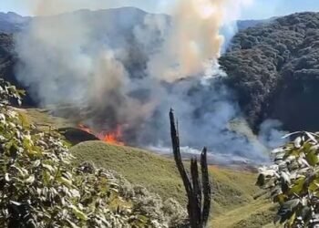 নাগাল্যান্ডে ভয়াবহ দাবানল: দুর্গম পাহাড়ে হার মানল দমকল