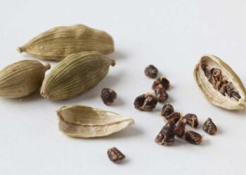 খাওয়ার পর অস্বস্তি? এক টুকরো এলাচেই মিলবে সমাধান
