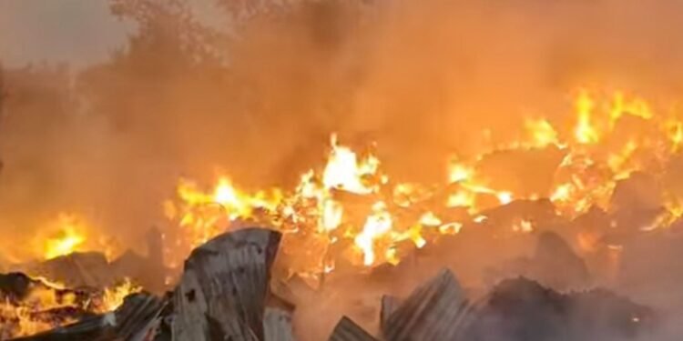 গাজীপুরে ঝুটের গুদামে ভয়াবহ আগুন: ৫ ইউনিটের ২ ঘণ্টার চেষ্টায় নিয়ন্ত্রণে