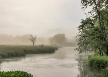 নদী অববাহিকায় ঘন কুয়াশার চাদর: নৌ চলাচলে সতর্ক থাকার পরামর্শ