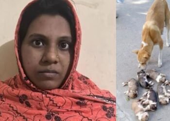 ঈশ্বরদীতে আট কুকুরছানা হত্যার ঘটনায় অভিযুক্ত নিশি খাতুন গ্রেফতার