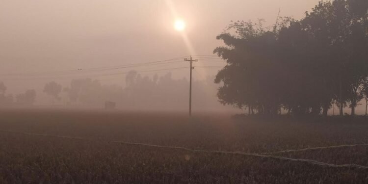 মৌসুমের সর্বনিম্ন তাপমাত্রায় কাঁপছে পঞ্চগড়