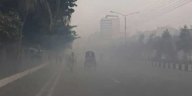 কুয়াশায় মোড়ানো নতুন বছর: ঢাকার তাপমাত্রা নামল ১৩ ডিগ্রিতে