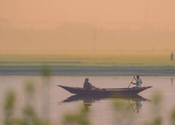 ঘন কুয়াশায় ঢাকা জনপদ: ৪৪ জেলায় বইছে শৈত্যপ্রবাহ