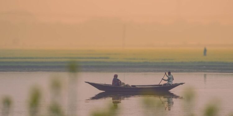 ঘন কুয়াশায় ঢাকা জনপদ: ৪৪ জেলায় বইছে শৈত্যপ্রবাহ
