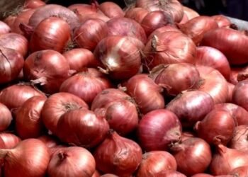 রোজার আগেই পেঁয়াজের ঝাঁজ বাড়ার শঙ্কা