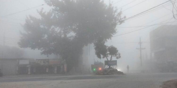 ৮ জেলায় হাড়কাঁপানো শীত: শৈত্যপ্রবাহ ও ঘন কুয়াশার সতর্কবার্তা