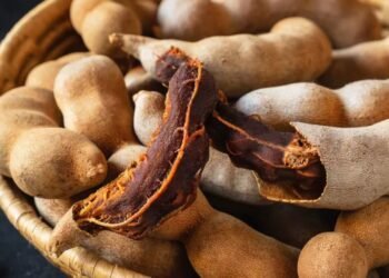 হাড় ও মস্তিষ্কের সুরক্ষায় তেঁতুলের জাদুকরী গুণ