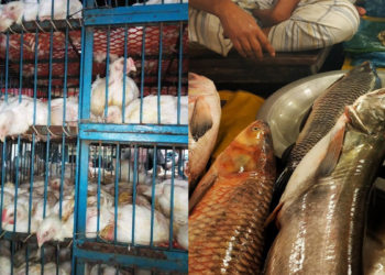 ব্রয়লারের দাম কমলেও মাছের বাজারে আগুন