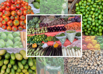 রমজানের দ্বিতীয় দিনেই কাঁচাবাজারে আগুন, বেগুন-শসা-লেবুর সেঞ্চুরি