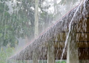 আগামী ৫ দিন সারাদেশে দমকা হাওয়াসহ বজ্রবৃষ্টির পূর্বাভাস