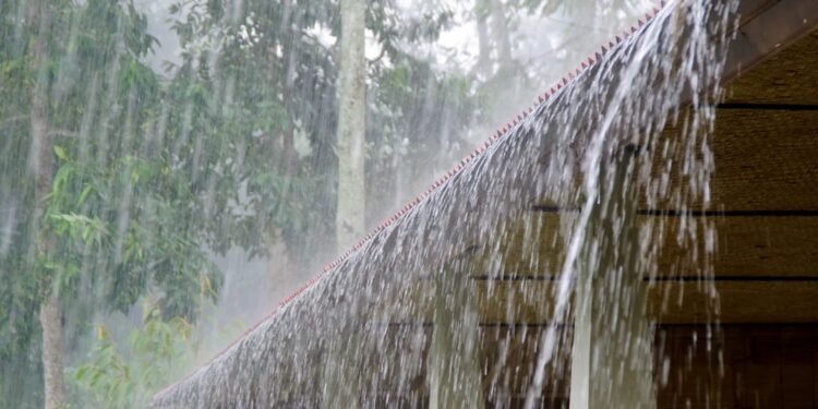 আগামী ৫ দিন সারাদেশে দমকা হাওয়াসহ বজ্রবৃষ্টির পূর্বাভাস