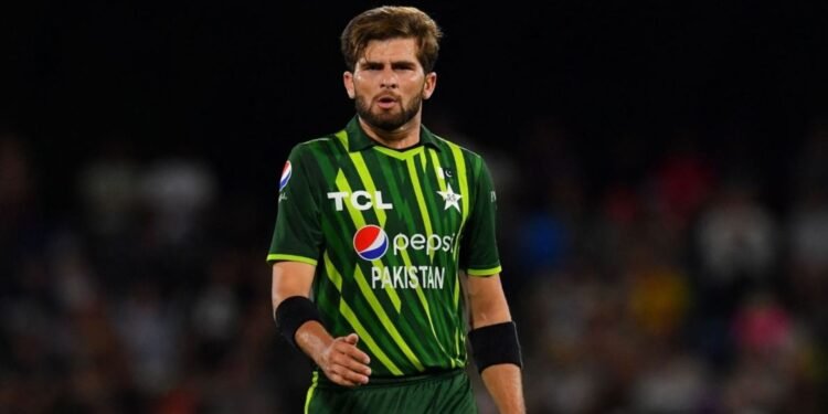 তরুণদের সুযোগ দেওয়ার ব্যাখ্যা দিলেন শাহিন আফ্রিদি