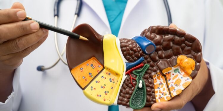 ফ্যাটি লিভার নিরাময়ে ওষুধ নয়, প্রয়োজন সচেতনতা