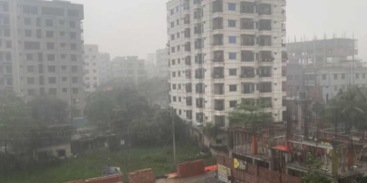 ফাল্গুনের মাঝামাঝিতে ঢাকায় ৩ মিলিমিটার বৃষ্টি
বিস্তারিত :
#news #banglaflow #বাংলাফ্লো