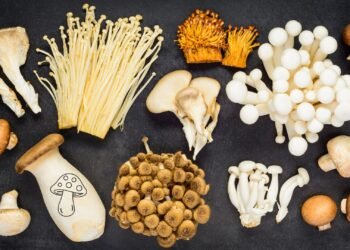 ক্যানসারের ঝুঁকি ৪৫% পর্যন্ত কমাতে পারে প্রতিদিন মাত্র ২ পিস মাশরুম