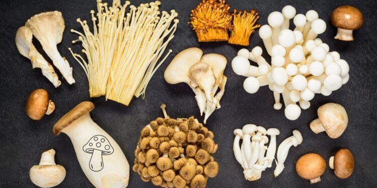 ক্যানসারের ঝুঁকি ৪৫% পর্যন্ত কমাতে পারে প্রতিদিন মাত্র ২ পিস মাশরুম