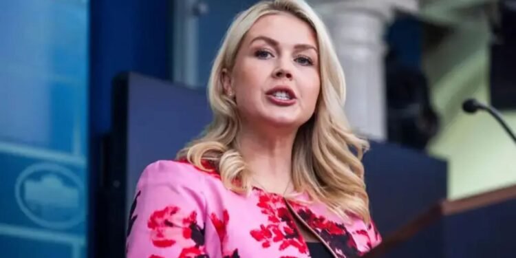 ট্রাম্প ও সামরিক বাহিনীর কারণেই এই সাফল্য, দাবি লেভিটের