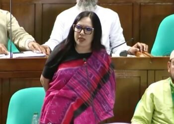 দলীয় মনোনয়ন না দেওয়ায় বিএনপিকে ধন্যবাদ জানালেন রুমিন ফারহানা