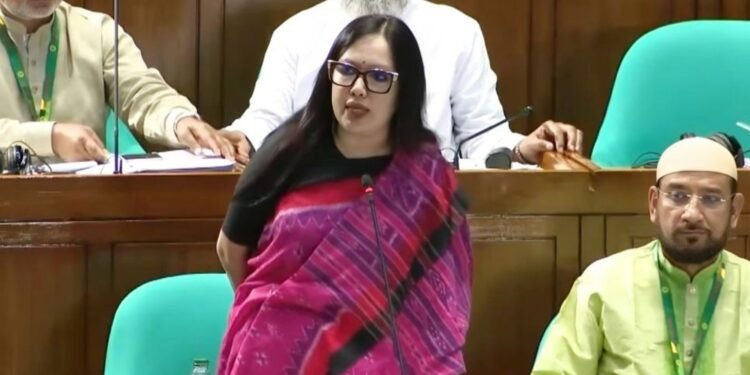 দলীয় মনোনয়ন না দেওয়ায় বিএনপিকে ধন্যবাদ জানালেন রুমিন ফারহানা