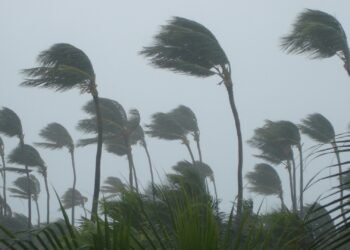 দেশের ১০ অঞ্চলে ঘণ্টায় ৮০ কি.মি. বেগে ঝোড়ো হাওয়ার শঙ্কা