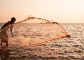 আজ মধ্যরাত থেকে ১১ জুন পর্যন্ত মাছ ধরায় নিষেধাজ্ঞা