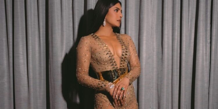 বলিউডের রাজনীতি ও স্বজনপোষণ নিয়ে বিস্ফোরক প্রিয়াঙ্কা চোপড়া