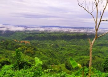 রাঙামাটিতে প্রতিপক্ষের গুলিতে ইউপিডিএফ নেতা নিহত