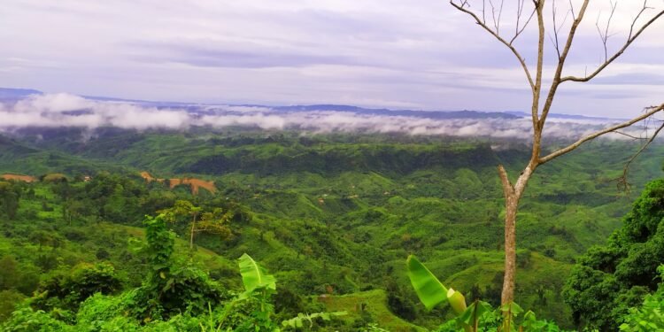 রাঙামাটিতে প্রতিপক্ষের গুলিতে ইউপিডিএফ নেতা নিহত
