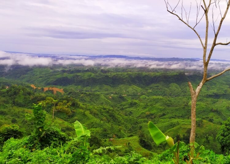 রাঙামাটিতে প্রতিপক্ষের গুলিতে ইউপিডিএফ নেতা নিহত