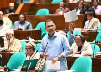 অন্তর্বর্তী সরকারের আমলে আসেনি হামের টিকা— সংসদে প্রধানমন্ত্রী