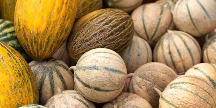 রোগ প্রতিরোধ ক্ষমতা বাড়ায় বাঙ্গি