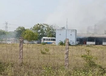 ভারতের বাজি কারখানায় ভ/য়া/বহ বি/স্ফো/রণে ঝ/রল অন্তত ২০ প্রা/ণ