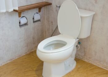 টয়লেটের দুর্গন্ধ দূর করার ৫টি জাদুকরী উপায়