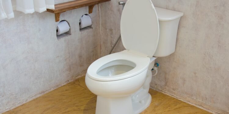 টয়লেটের দুর্গন্ধ দূর করার ৫টি জাদুকরী উপায়