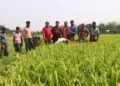 মনিরুলের উদ্ভাবিত বিকল্প জ্বালানির নাম ‘ম্যাড’ (MAD)