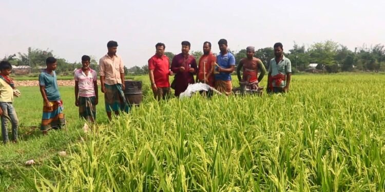 মনিরুলের উদ্ভাবিত বিকল্প জ্বালানির নাম ‘ম্যাড’ (MAD)