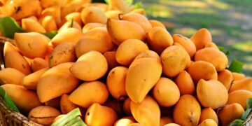 ভুল নিয়মে আম রাখছেন না তো?