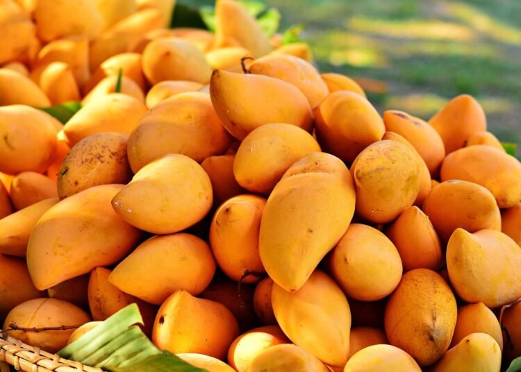 ভুল নিয়মে আম রাখছেন না তো?