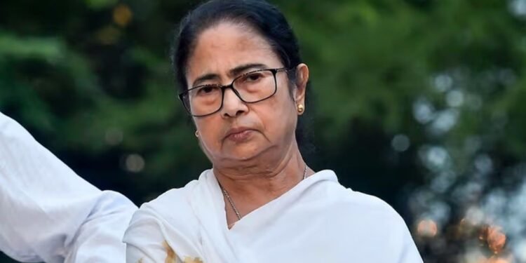 বিপর্যায় কাটিয়ে ‘রিসেট মোমেন্ট’: জেলা নেতাদের নিয়ে কালিপদঘাটে বসছেন মমতা