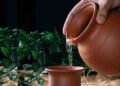 তাপদাহে শরীর জুড়ানোর ৬ উপায়